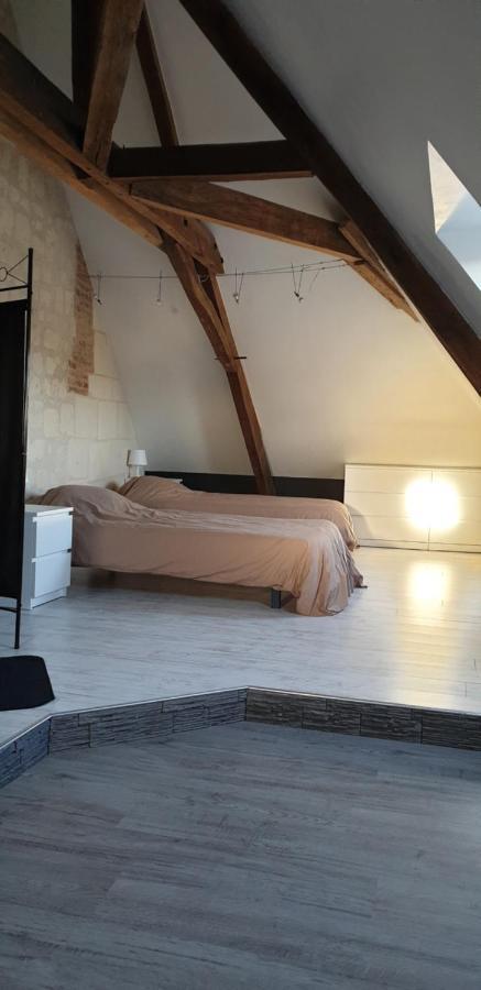 Bourgueil - Grand Appartement Proche Cnpe Chinon Exterior foto